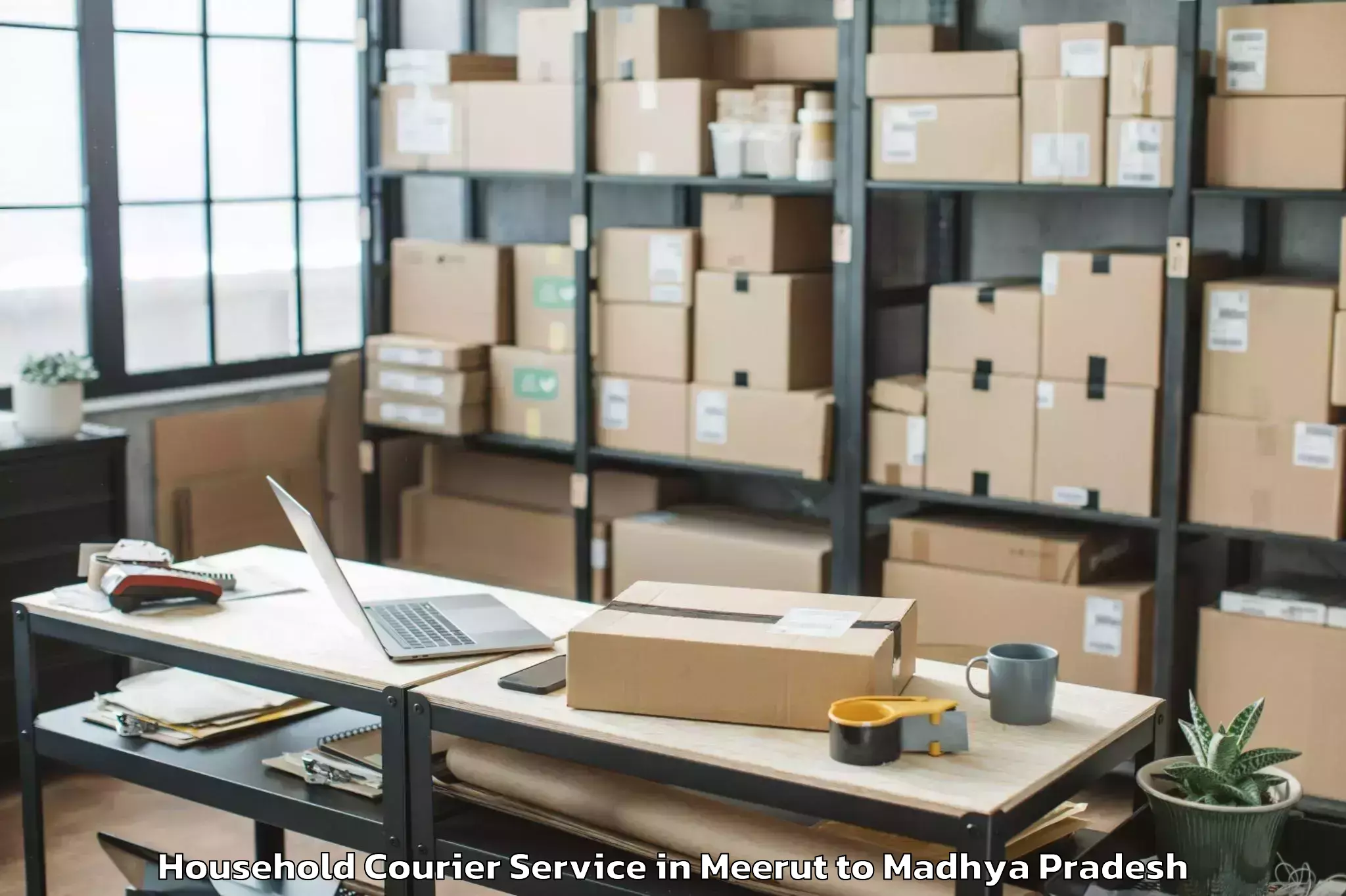 Easy Meerut to Ghansor Household Courier Booking